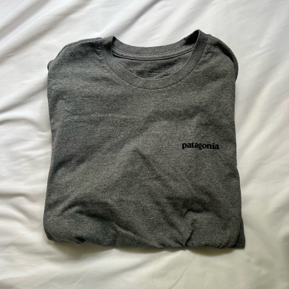 Patagonia short sleeve tee